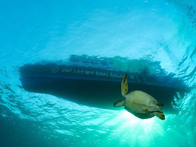 Raja Laut Dive Resort Bunaken Bagian luar foto